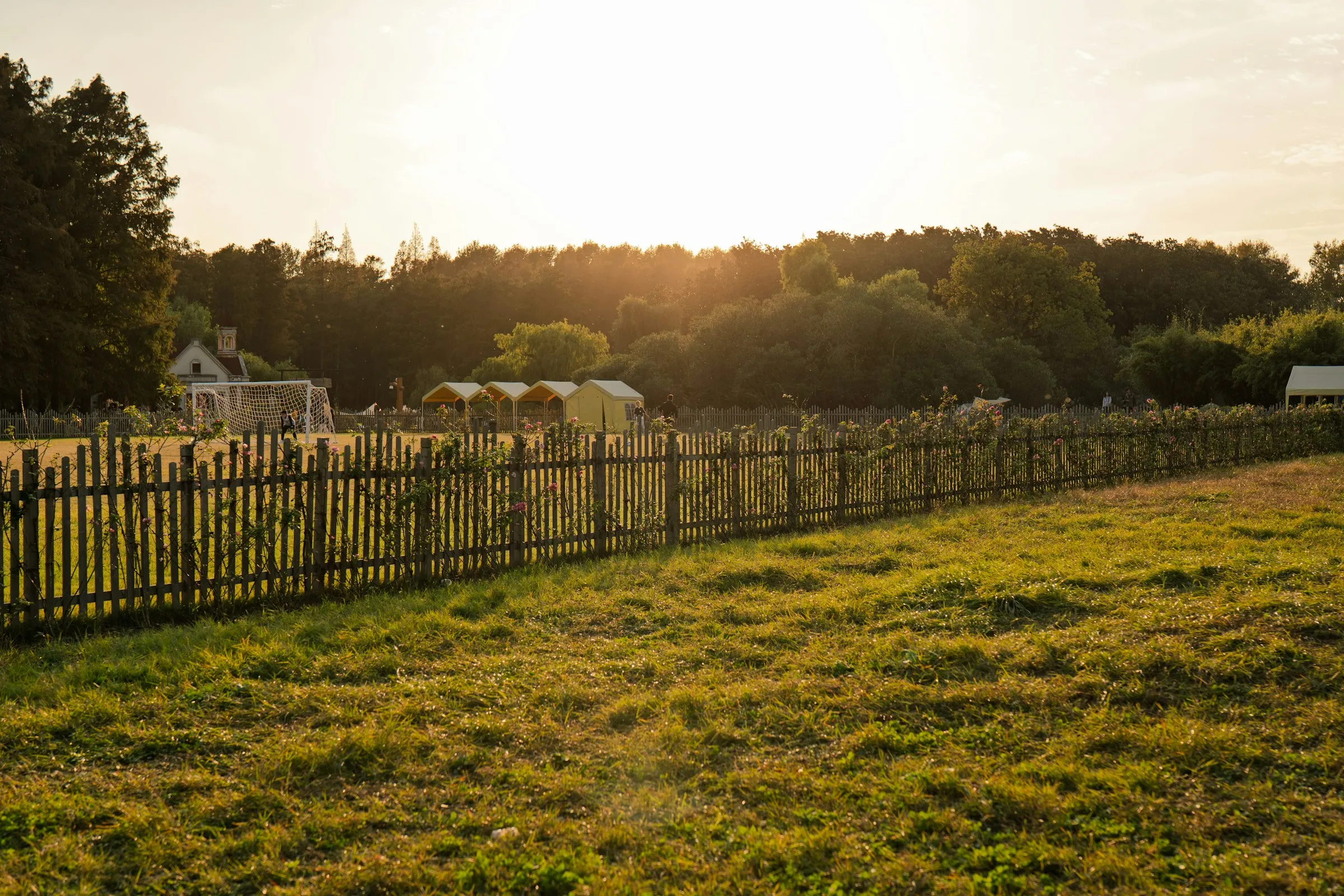 Wooden fence line along a grassy property at golden hour